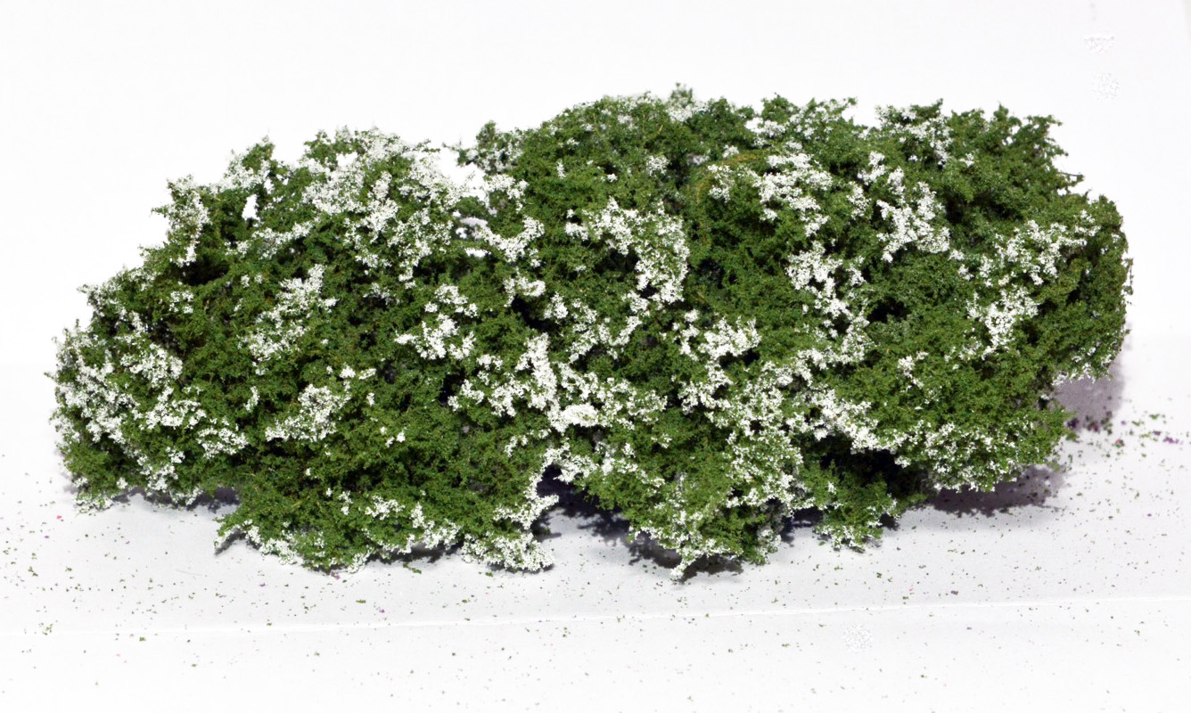 Flowering shrubs – White